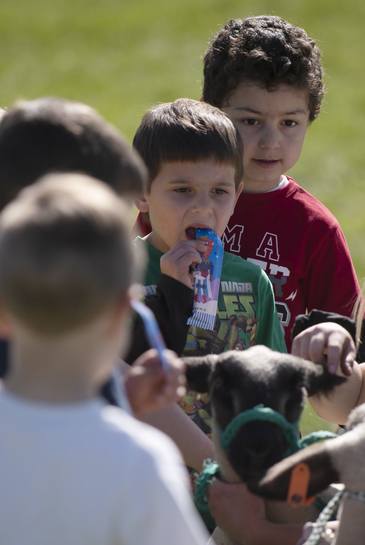 Ag day at I.B. Perrine Elementary